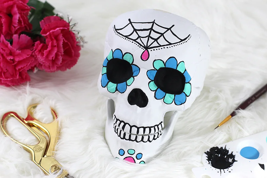 Skull & candy sale